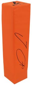 Dalvin Cook Signed BSN Orange Endzone Football Pylon