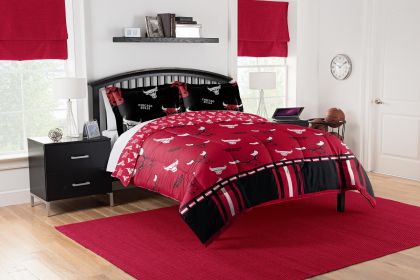 Bulls OFFICIAL NBA Full Bed In Bag Set